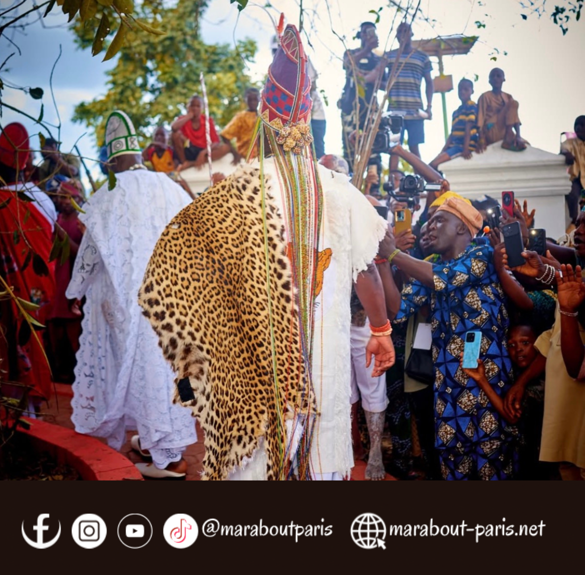 Design sans titre 31