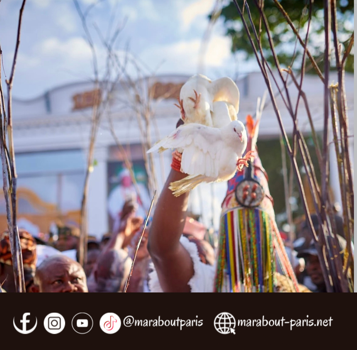 Design sans titre 33